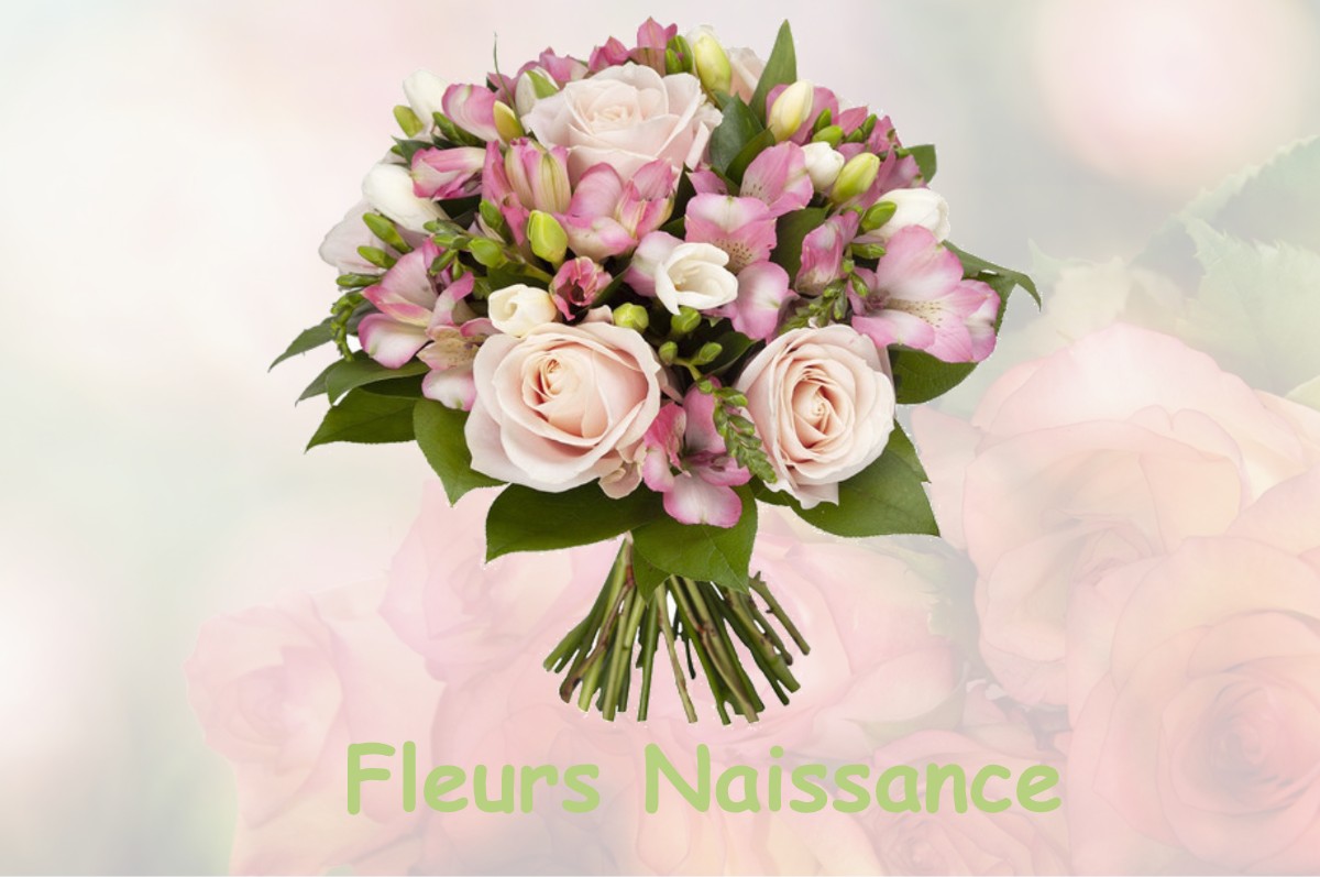 fleurs naissance SAINT-VINCENT-DE-TYROSSE