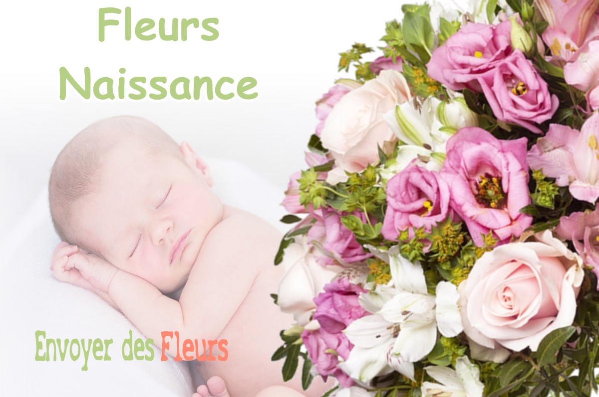 lIVRAISON FLEURS NAISSANCE à SAINT-VINCENT-DE-TYROSSE